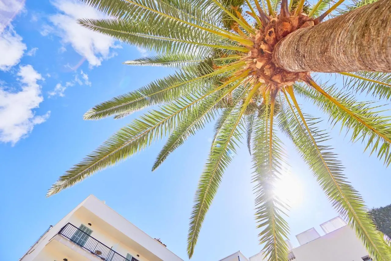 Cupido Boutique Hotel Peguera Spain